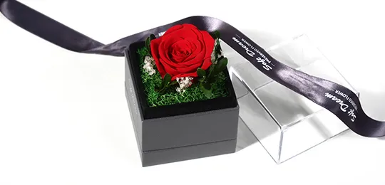 Preserved Flower Red Rose Gift Box