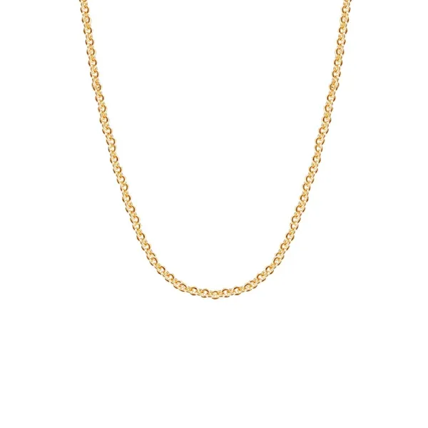 Classic 14K Gold Plated Chain Necklace